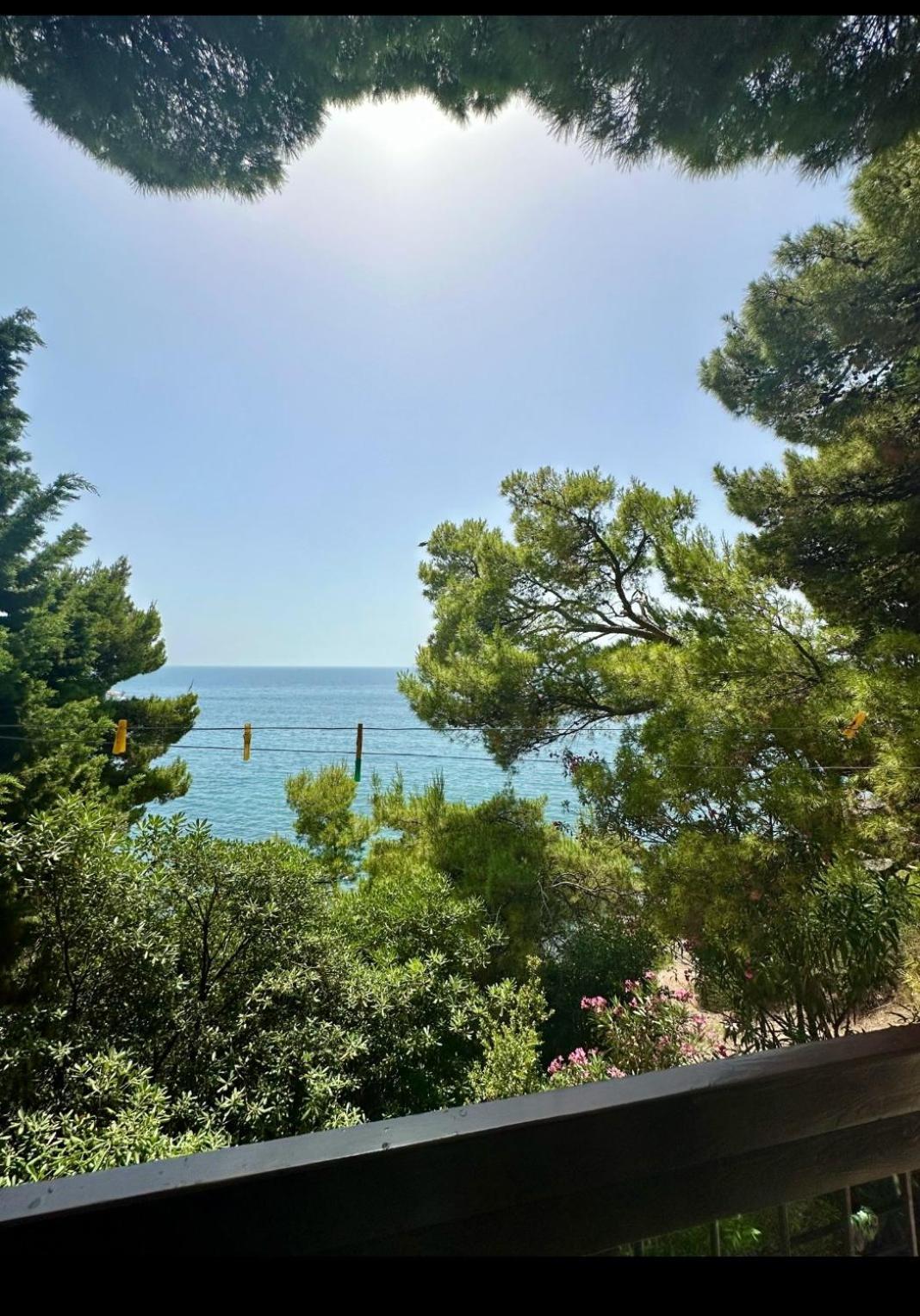 Apartment Botanicheskiy Sad Sutomore Εξωτερικό φωτογραφία