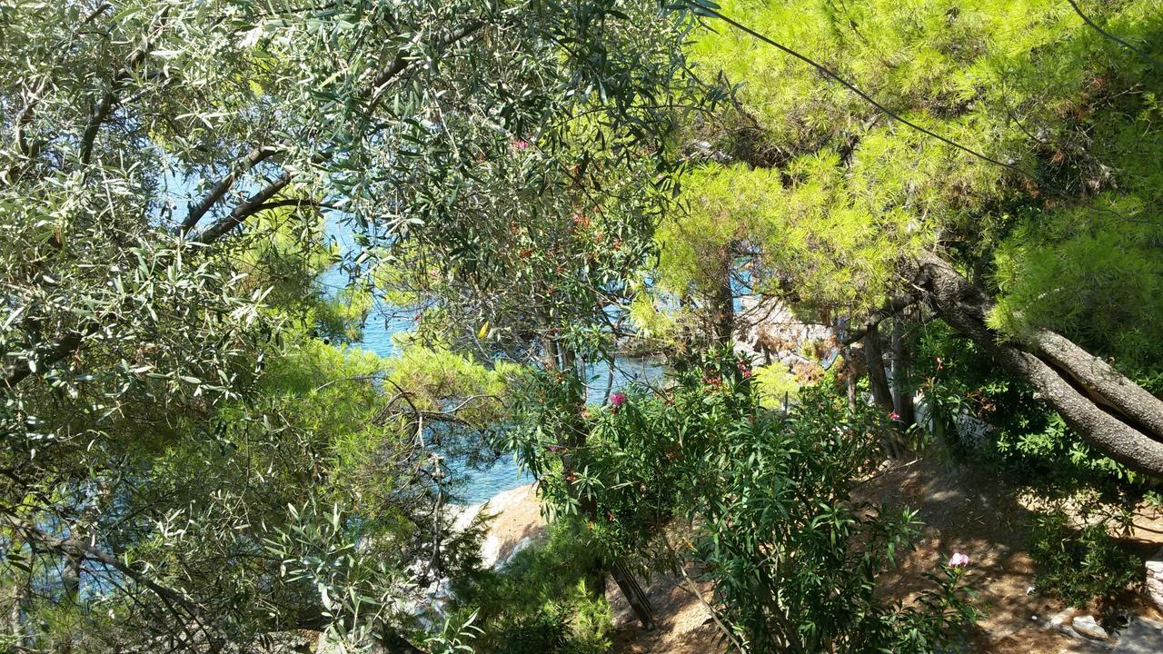 Apartment Botanicheskiy Sad Sutomore Εξωτερικό φωτογραφία