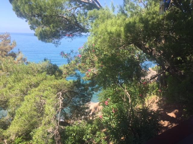 Apartment Botanicheskiy Sad Sutomore Εξωτερικό φωτογραφία
