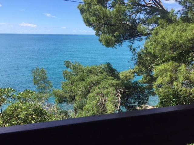 Apartment Botanicheskiy Sad Sutomore Εξωτερικό φωτογραφία