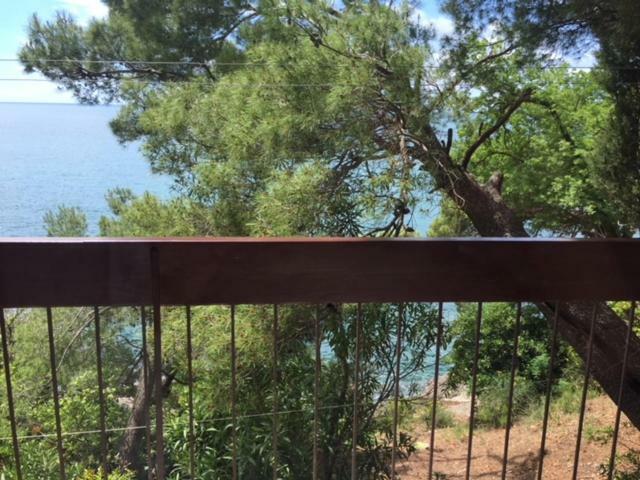 Apartment Botanicheskiy Sad Sutomore Εξωτερικό φωτογραφία